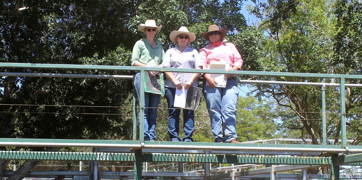 Ann Russell, GDL, centre, working at a Blackall cattle sale in 2014, alongside Nutrien and Elders administration representatives. Picture: Sally Gall