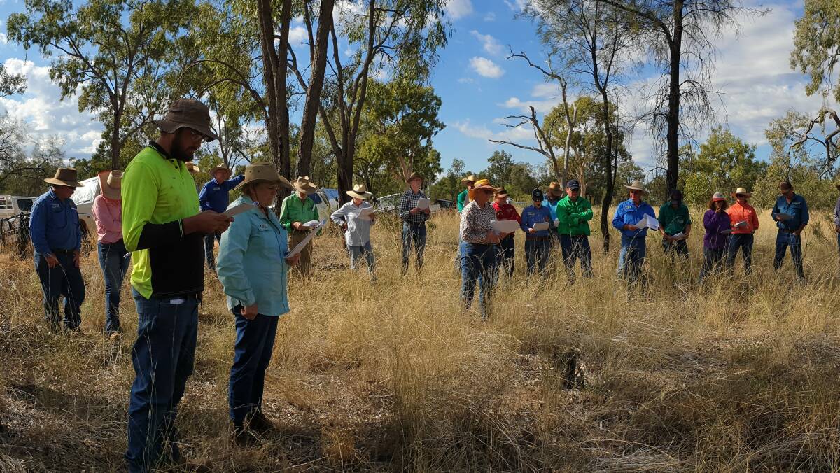 The paddock atmosphere encouraged plenty of questions and answers at the Stratford field day. Picture: Robyn Adams