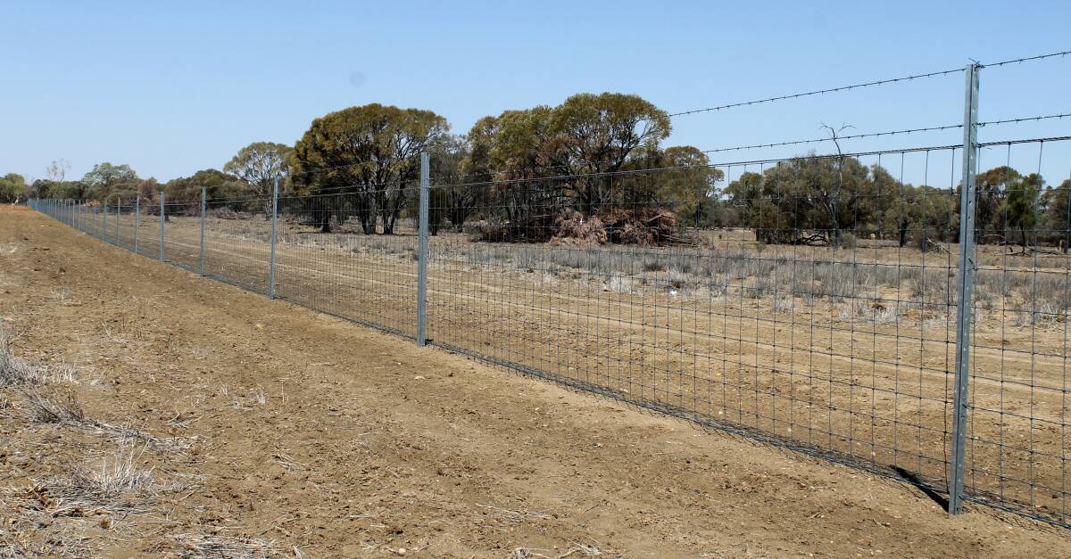 Although the oversight group is still to decide, it is anticipated there will be an even split between southern and central western demands for the latest $5m feral fence money.