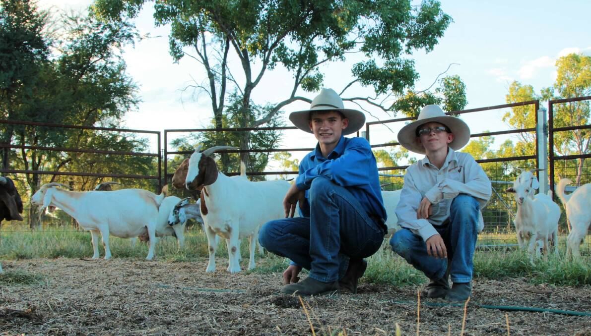 Clay and Zac Armstrong have been operating their Boer goat herd for four years.