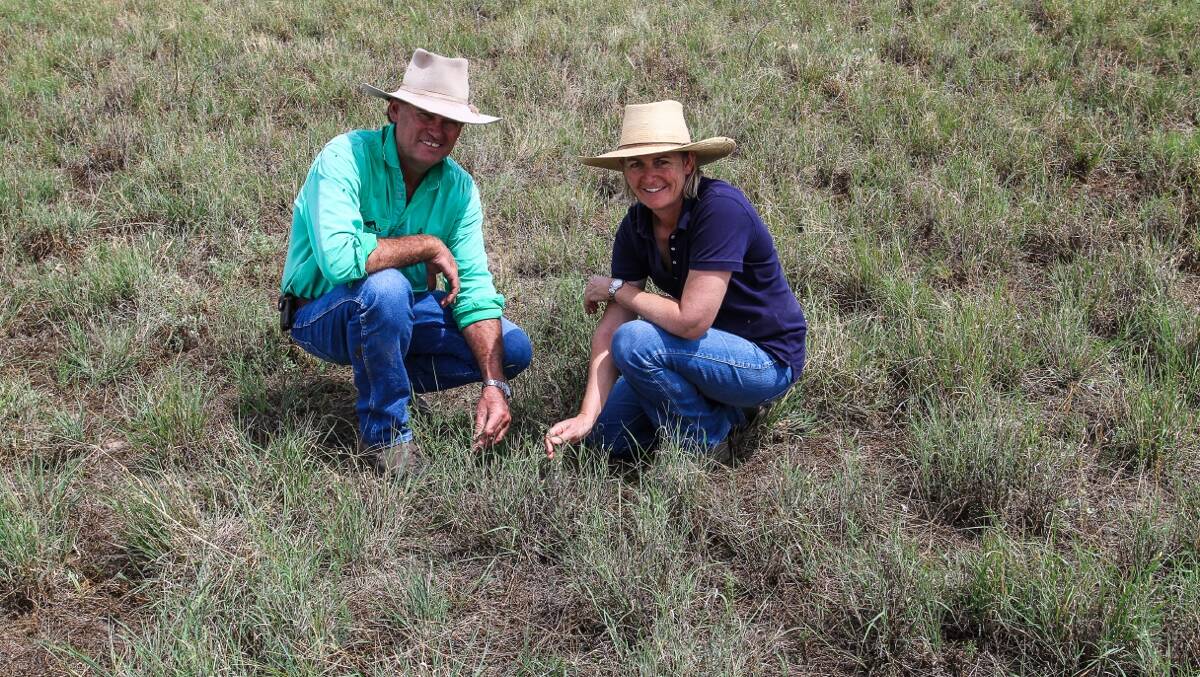 The Doyles checking out Mitchell grass on old cultivation.