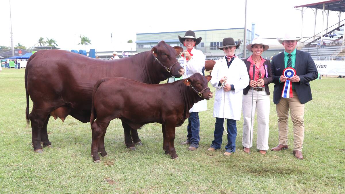 Kasey Phillips, Murgona Stud, and Grace Muller, Scots College, with the grand champion Santa Gertrudis cow, Murgona Queen Bee, plus judge Erica Halliday, and Nutrien's Colby Ede. Picture: Sally Gall