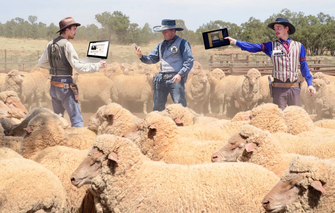 Data negotiations between Australian Wool Innovation and rival services has stalled as AuctionsPlus announces a revamp of its online wool trading platform, Wooltrade, for January. Digitally altered image. 