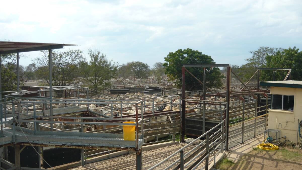 Dalrymple Saleyards on 15 December for annual maintenance. The facility will reopen on 3 January 2017.