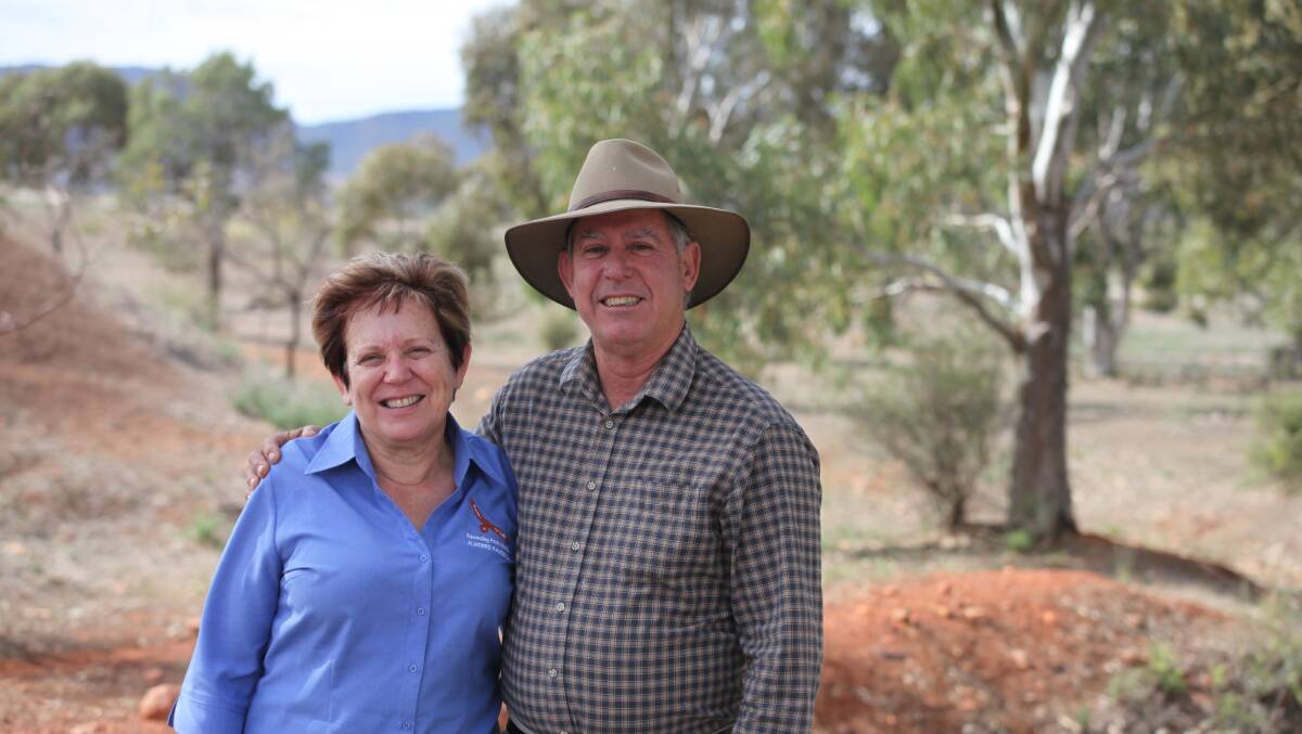 Julie and Tony Smith, who turned their struggling sheep station into an award winning tourism operation, offer guests a genuine outback experience at Rawnsley Park Station.