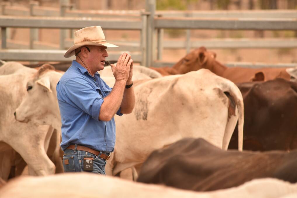 Founder and principal trainer of Low Stress Stockhandling Jim Lindsay demonstrates moving cattle techniques at a NQ Dry Tropics workshop held at Bristow and Ureisha Hughes’ Collinsville property, Strathalbyn Station.
