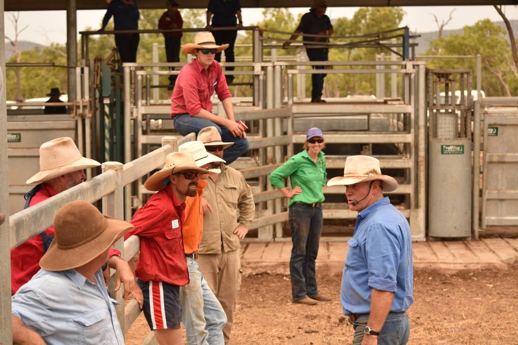 Graziers learn about the business benefits of training people in animal handling because it leads to improved production gains, better meat quality and higher economic return for the livestock industry.