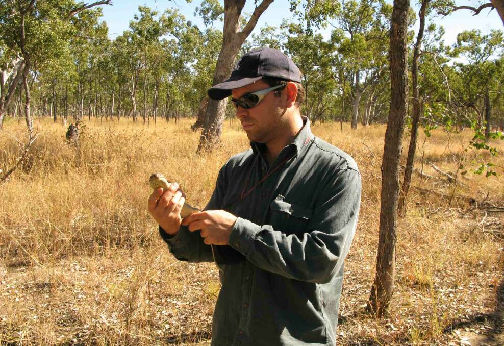  Dan Ferguson, Queensland Herbarium, holding a shy and elusive yakka skink captured on Havelock for the field day. Photo by: Dr Michael Mathieson, Qld Herbarium