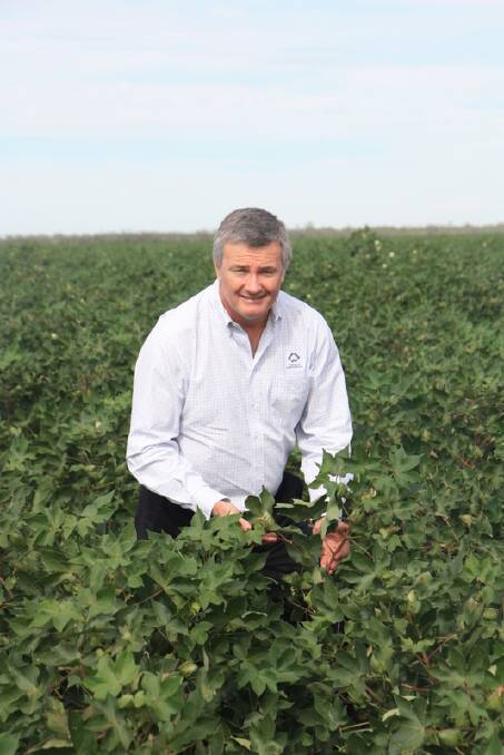 Cotton Australia CEO Adam Kay. 