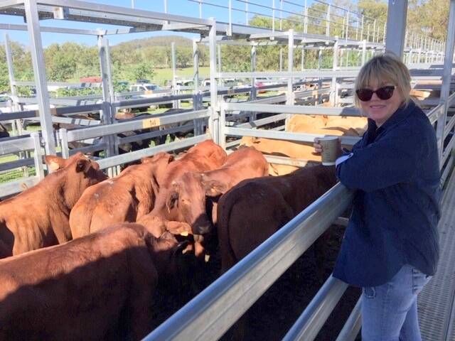 Jill Lawton of TJ Rural, Biddaddaba sold Santa steers 18 months for $935.