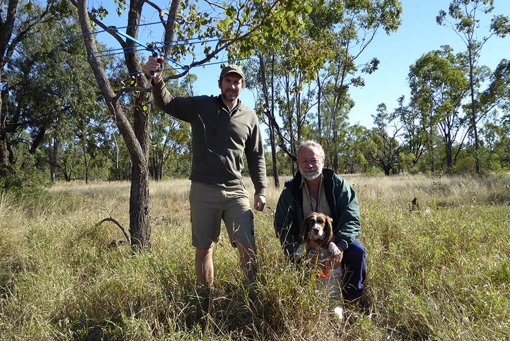 Senior Zoologist Dr Matt Gentle and QMDC’s Dr Dave Berman are testing the potential of trained detector dogs like springer spaniel Sophie to locate feral cats. 