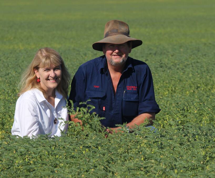 Tony Beattie is overseeing the harvest of 8000ha of chickpeas and 6400ha of wheat at Inglestone this month for Goangra Pastoral Company. Mr Beattie is pictured with his wife Carolyn. 