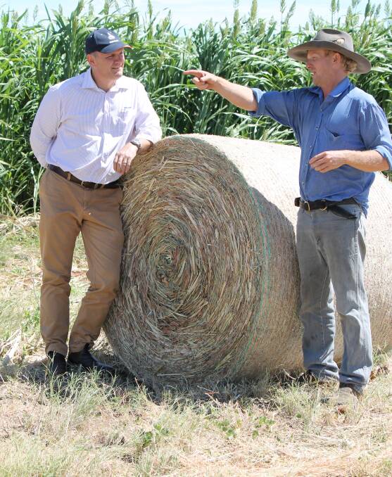Nikko Lord (right) Sutherland, Richmond discusses the challenges he faced with his 40ha forage sorghum crop with Craig Burkhardt, Rabobank, Townsville.
 