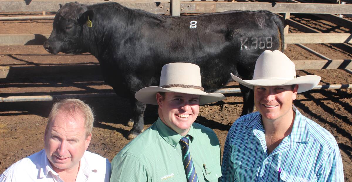 Lawsons Angus' Harry Lawson, Landmark's Trent McKinlay and top price buyer Andrew Crowther.