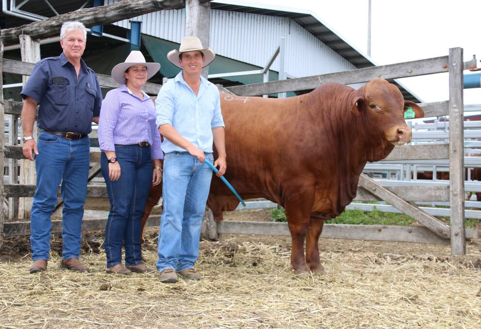 Newly engaged couple Steven Swan and Allison Hotz paid $80,000 for Karragarra Marcus at the National Droughtmaster Sale at Gracemere today. The impressive bull was offered by Wayne (pictured on right) and Ingrid York,