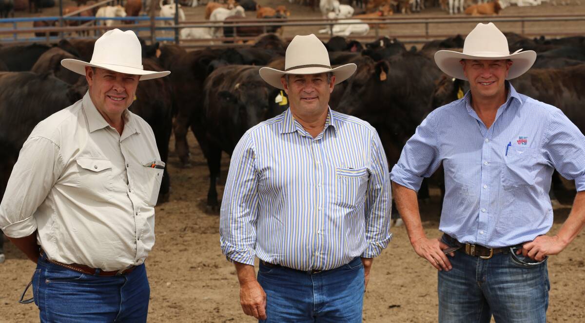 Australian Wagyu Association director Ron Fitzgerald, RNA Councillor Gary Noller and Mort & Co Ltd private client manager Berry Reynolds celebrate the launch of the new 2016/2017 Paddock to Palate Wagyu Challenge.