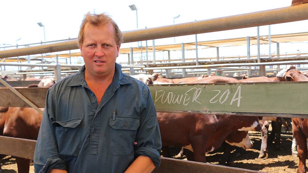 Cam Flower and family, Garrabarra, Roma sold 583 steers averaging 366kg for an average of 362c/kg to return $1328/head at Roma on Tuesday. 284 heifers averaging 315kg made 341c/kg to return $1077/head.