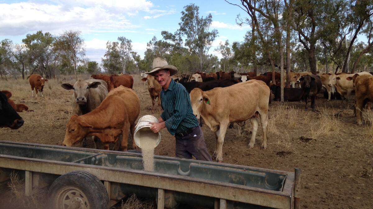 Dysart beef producer Brian Pownall has increased annual carrying capacity by an average of 30 per cent and profitability by an average of 25 per cent due to careful planning. 
