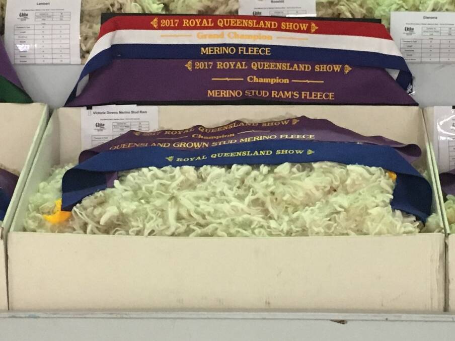 The champion Queensland fleeces exhibted by Moorindoora, Victoria Downs Merino Stud and Thornville.
