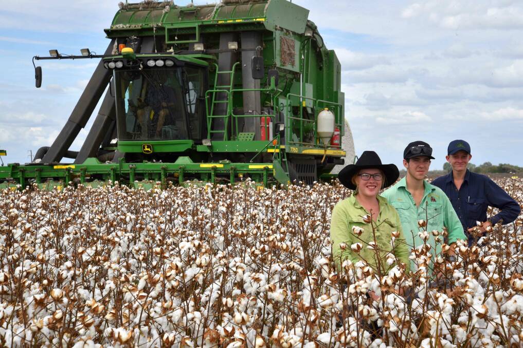Lucynda Anderson, Hamish Hutchings and Cameron Hosking scholarship winners completing their practical agricultural studies, harvesting the Emerald Agricultural College 2017 cotton crop.