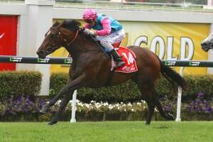 The Price family's Sold for a Song running at Doomben. 