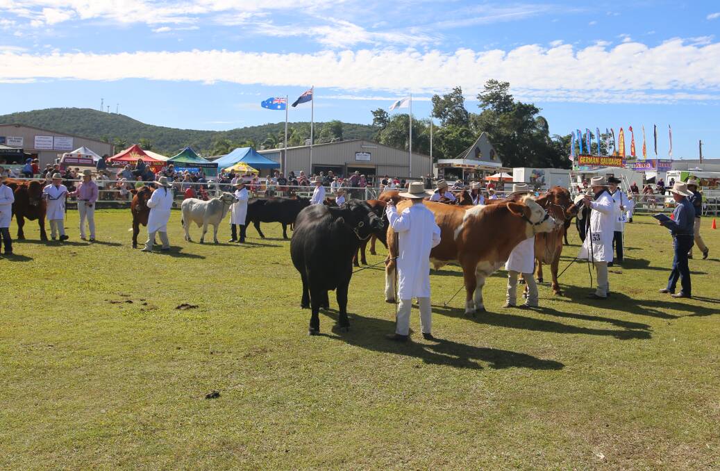 Keep "moo-ving": The junior paraders were out in great numbers at last year's show and will do so again in 2017.