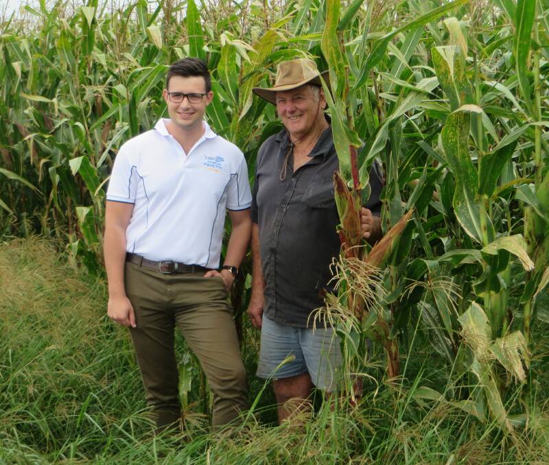 LNP Kennedy candidate Jonathan Pavetto (left) with farmer Peter Pensini from the Atherton Tableland.