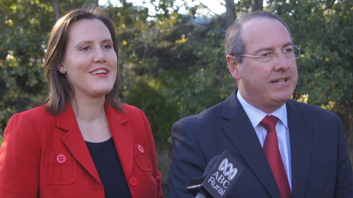 
Small Business Minister Kelly O'Dwyer and Liberal NSW MP Peter Hendy at today's announcement.