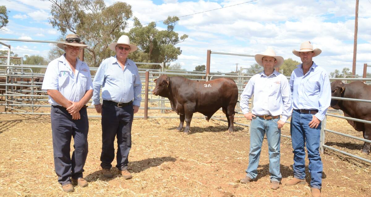 Phillip Hague, Rockingham stud, with $12,000 bull buyers Geoff and Jamie Becker, Jamally stud, Taroom, Qld, and Dean Hague with the bull.