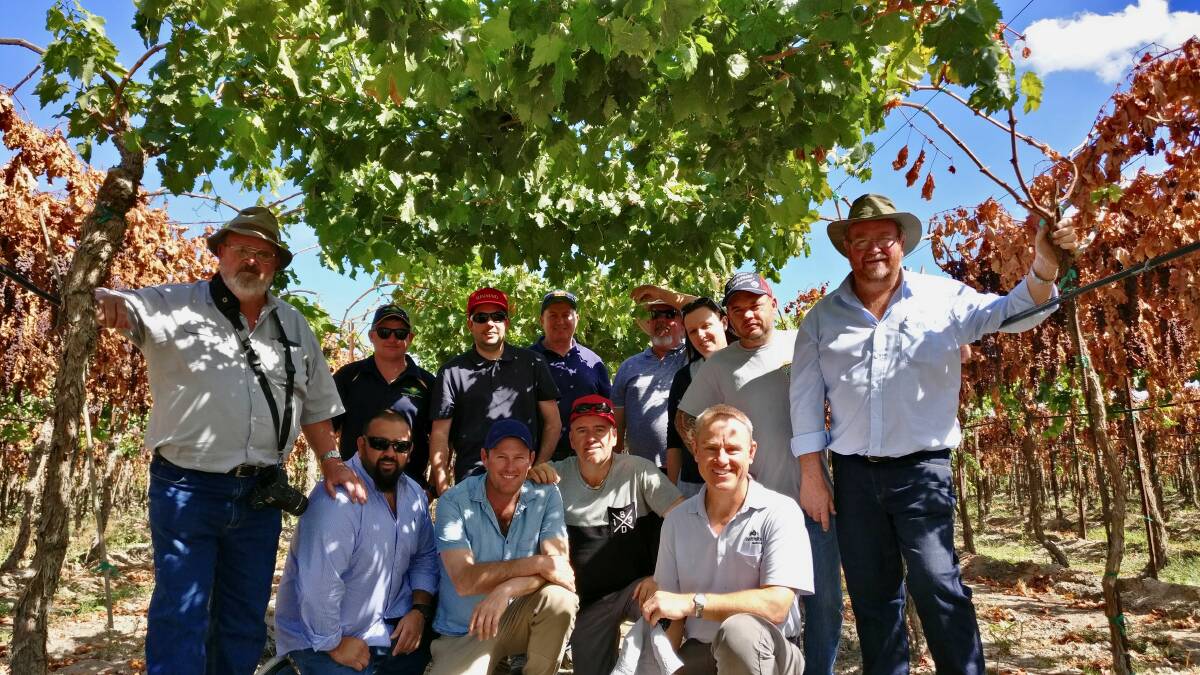 IN FIELD: The group taking part in the Dried Fruits Australia US study tour, looking at new varieties with potential for Australian dried grape production. 