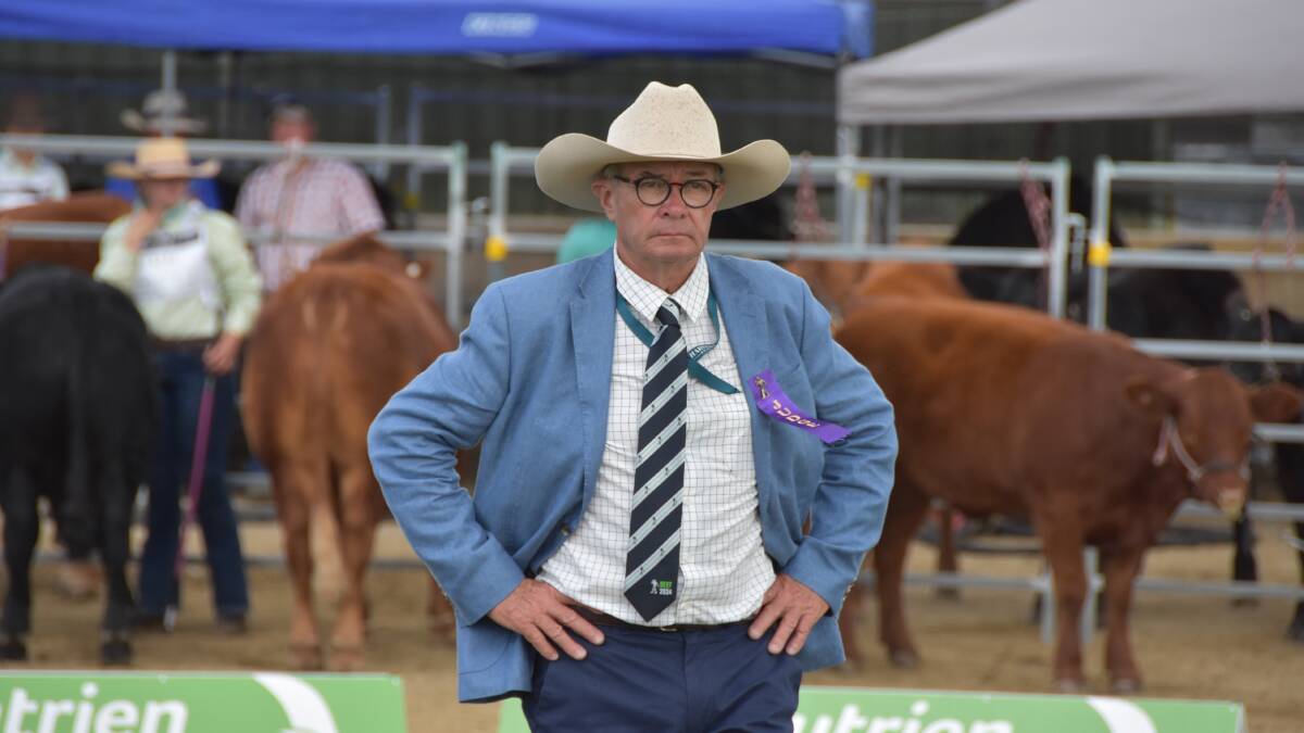 Limousin judge David Bondfield, Dalveen says the breed is doing great things in the pursuit of commercially focussed cattle. Picture by Ashley Walmsley
