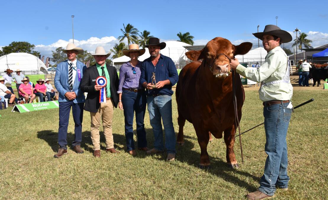 Judge David Bondfield, Dalveen, Colby Ede, north east livestock lead, Nutrien Ag Solutions, Toowoomba, with part owners Jessica and David Eagleson, Ulster Limousins, Murgon and part owner Paul Forman, Oakwood Limousins, Bundaberg holding grand champion bull Oakwood Cutright. Picture by Ashley Walmsley