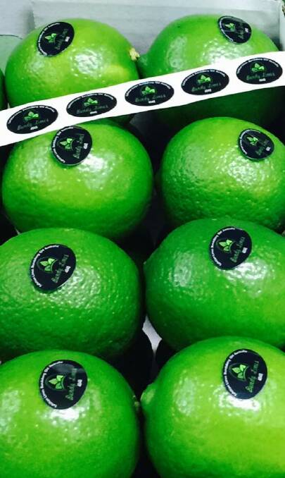 LIME TIME: Some of the essential ingredients from Bundy Limes for the chilli and lime beer, called Fiesta. 