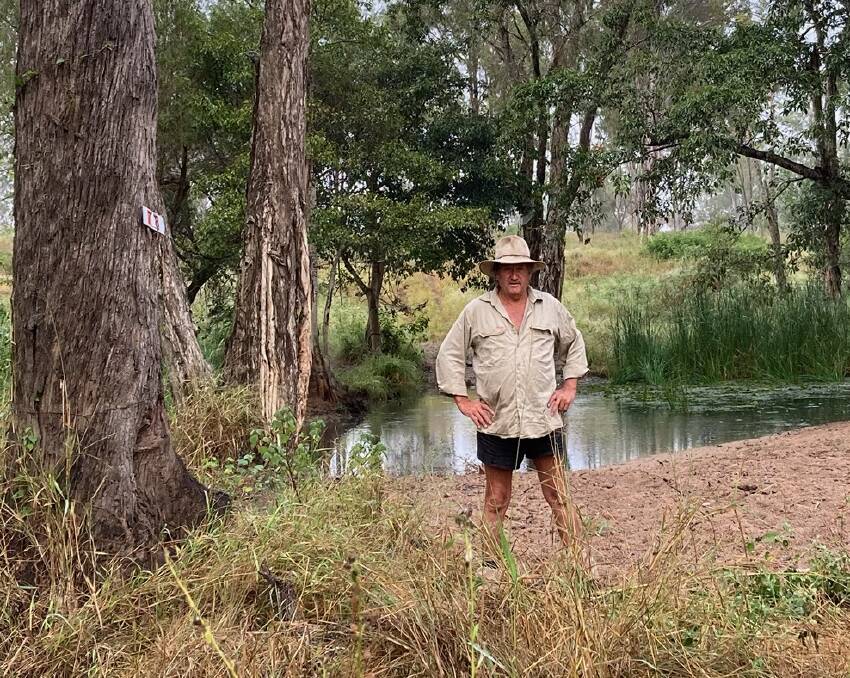 Trevo standing near the Calliope River on his property. Great care has been taken to remove weeds from around the area, improving the water quality and paddock holding capacity. Picture supplied