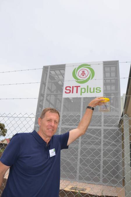 GOOD TO GO: SITPlus facility manager Andrew Magarey expects the centre to reach full production in 2018, with up to 50 million sterile male flies to be produced each week.