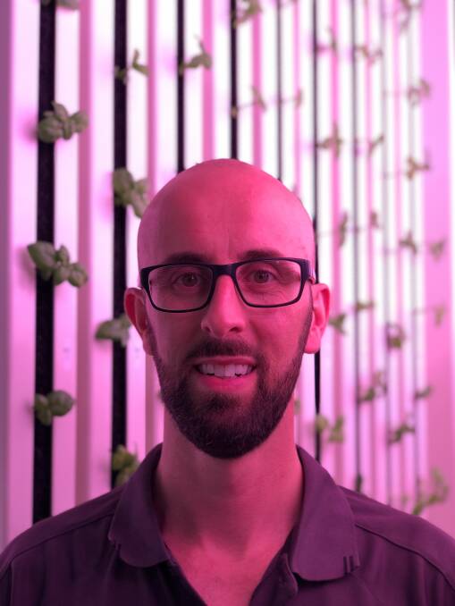 GOOD GLOW: Modular Farms Co director, James and Pateras, says vertical farming reduces food miles, cuts back on waste and increases food security. 