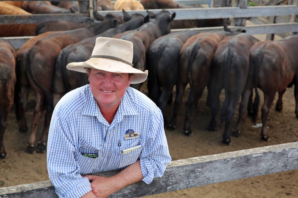 Paul Hastings, Burnett Livestock & Realty, at Monday's Biggenden sale with a pen of Limousin Brangus cross steers on account of Arn Horwood, Gin Gin. The steers sold for 338.2c/kg or $990.17/head.