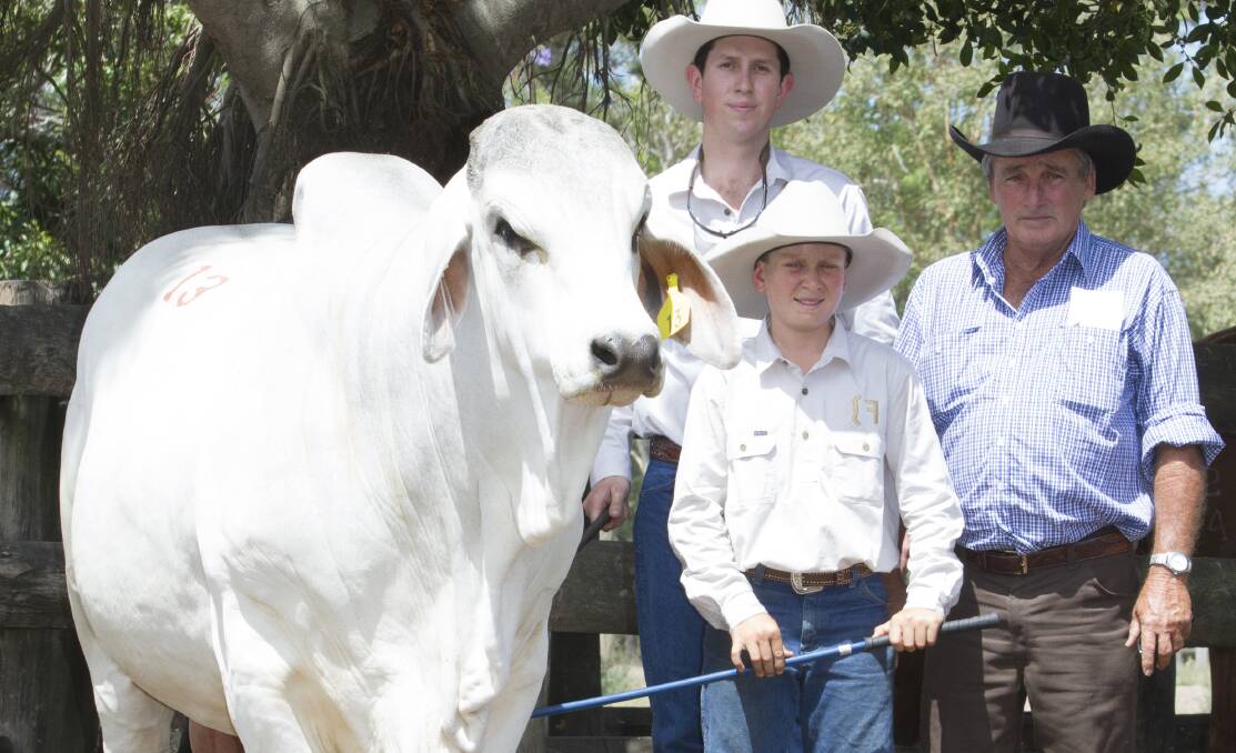 Repeat clients: Rob (right) and Sharon Flute, Chatfield Station, Richmond took three bulls for a $19,000 average including the $21,000 Lazarus Manso (pictured) here with Robert Johnson (back) and James Fenech, PBF Stud, Sarina. Picture: Kent Ward