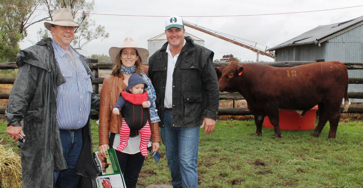 Buyers Sandy Munro, Jen Jeffreys, son James and Spencer Morgan, Myall Grove, with The Grove KO182 (P).