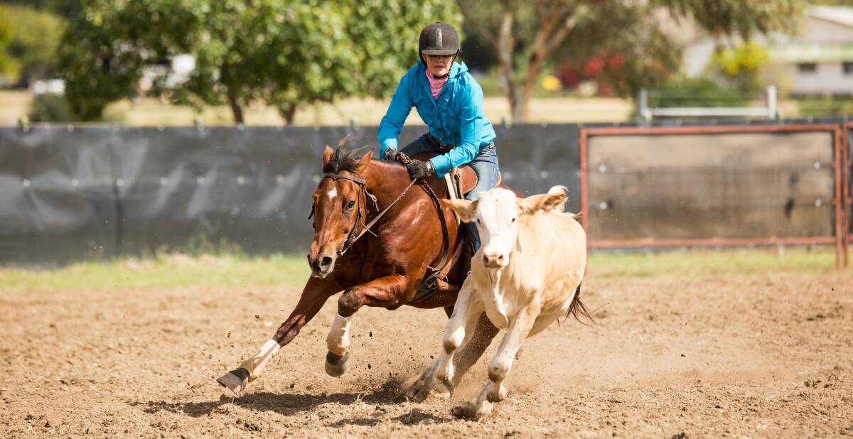 CONCENTRATION: Karyn Yates and Charisma competing at the Flinders Classic. Picture: Joanne Thieme