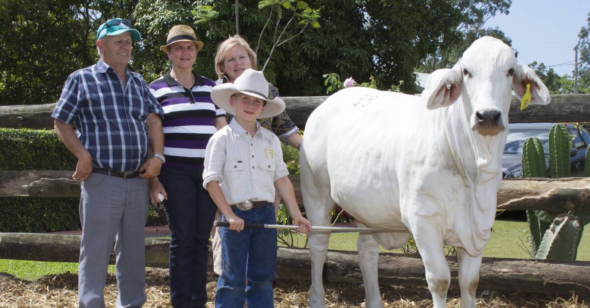 Top heifer: The $16,000 PBF Cherie Manso with buyers Emmanuel and Josie Pace, Blue Water Hills Stud, Mackay and Brigid and Matt Fenech, PBF Stud, Sarina. Picture: Kent Ward