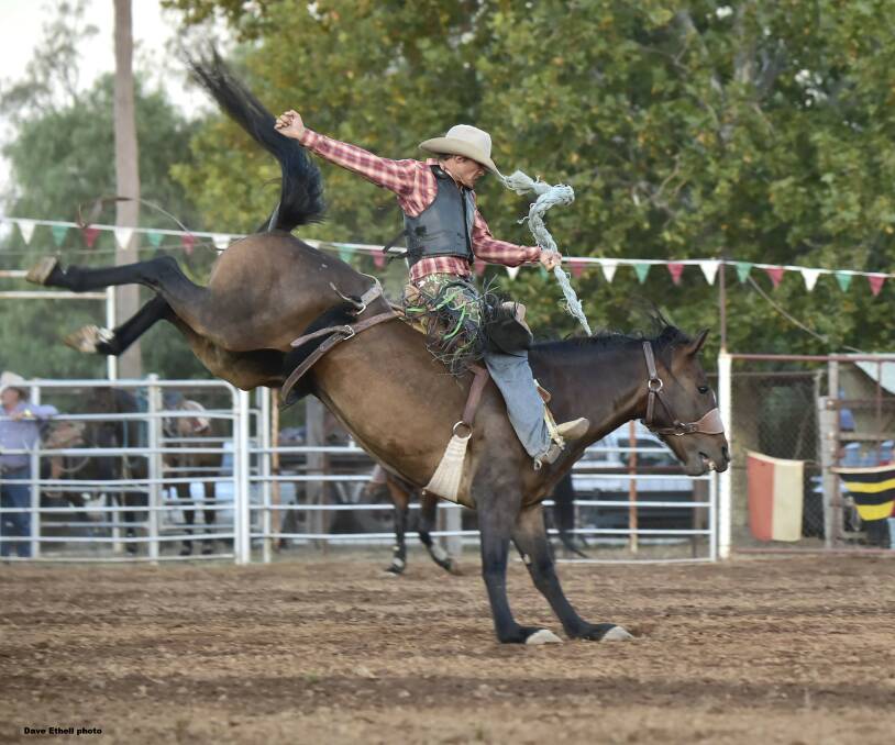 Wandoan cowboy Cameron Webster will travel to Wagga for Saturday's pro rodeo. Picture: Dave Ethell 