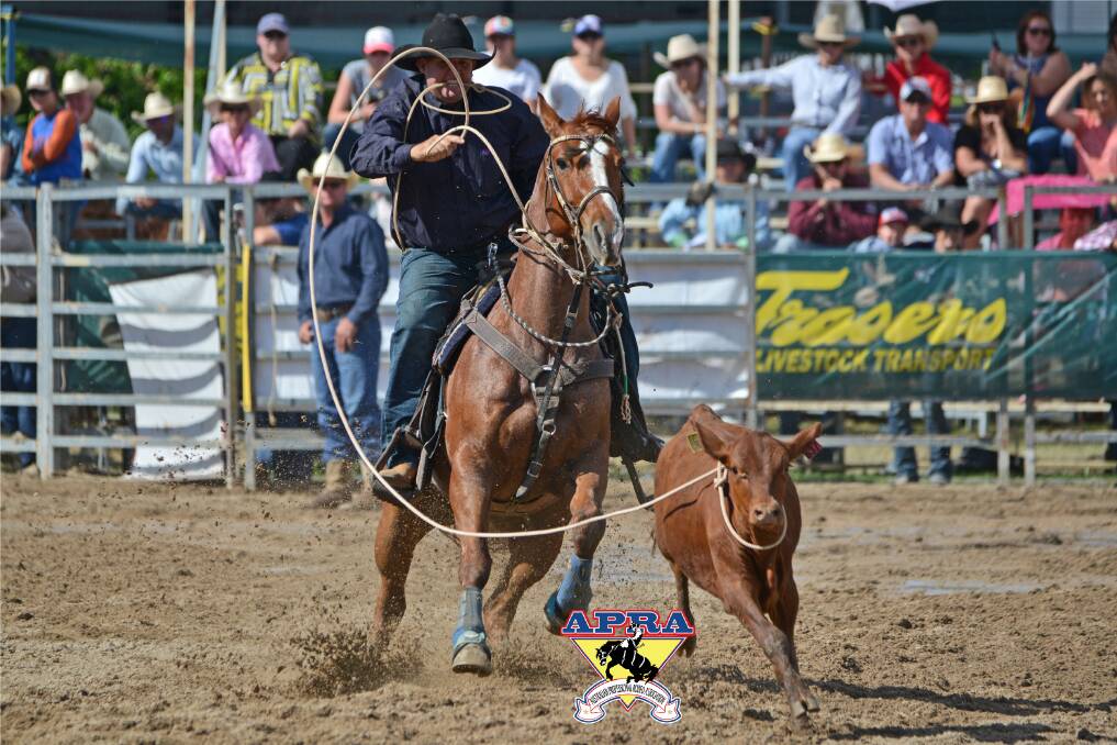TOUGH COMPETITOR: Reigning APRA All Around Champion Shane Iker has nominated for the Rope and Tie, Steer Wrestling and Team Roping at Comet. Picture: Mike Kenyon