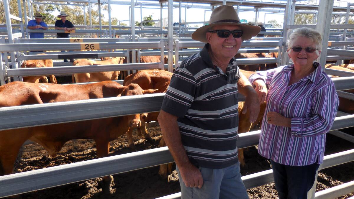 Allan and Pam Perry, Palen Creek sold Droughtmaster steers for $1440.