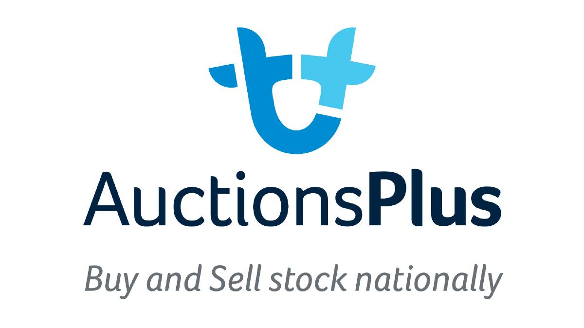 Numbers down on AuctionsPlus