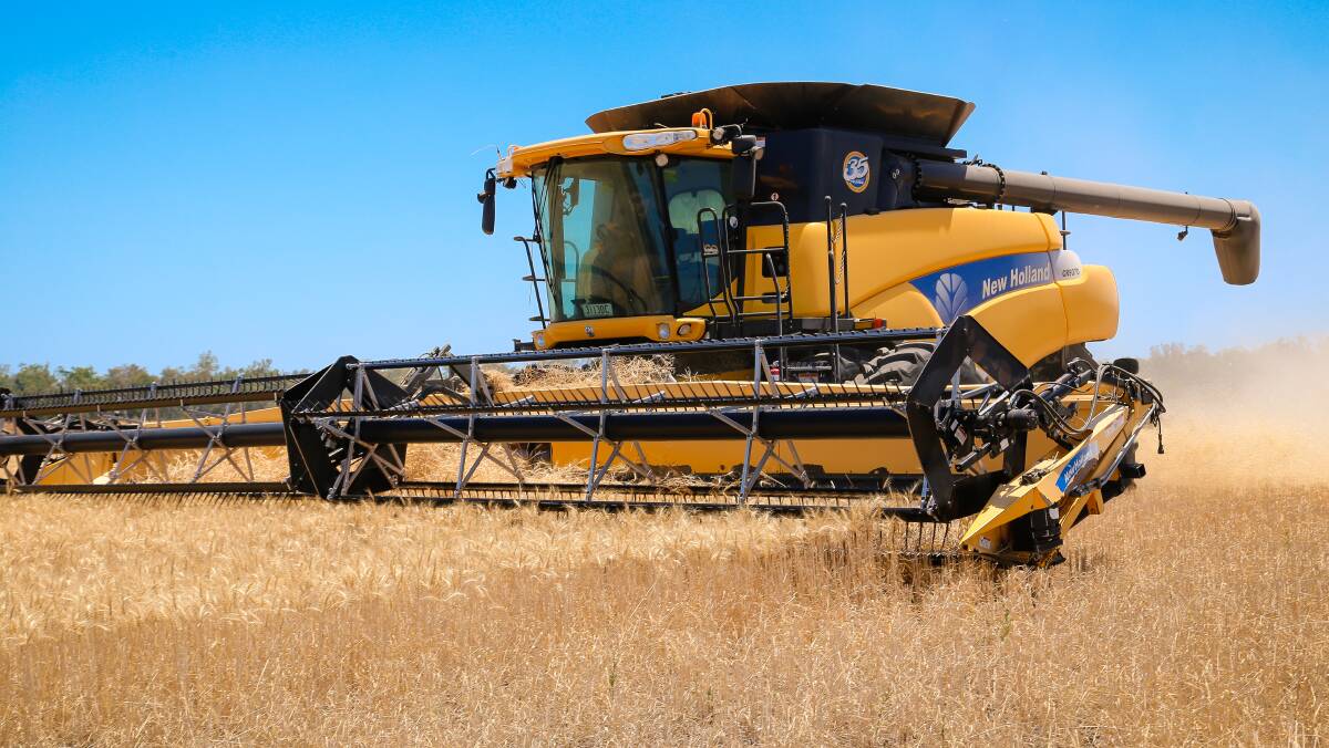 Short term rally tipped for US wheat futures