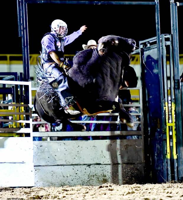 ONE TO WATCH: Stanwell rider Jared Borghero won the pro tour bull ride title at Mt Isa. He is one of four bull riders from Queensland who will contest the APRA title buckle later this month. Picture: Dave Ethell