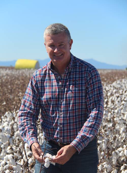 More challenges for cotton