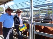 Jim and Lindy Kirchner, Harrisville, won champion pen of the show with their Limousin cross weaner steers. Picture supplied
