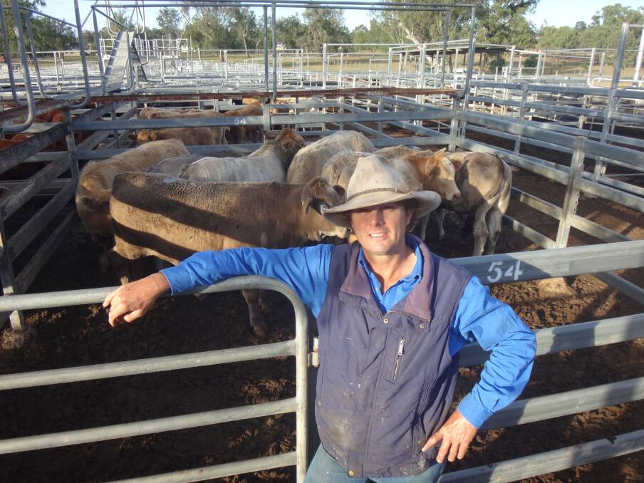Andrew Grieve, Colinton, with a pen of Charolais cross weaner steers that sold for $1000 at Toogoolawah on Friday. 